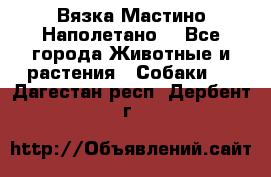 Вязка Мастино Наполетано  - Все города Животные и растения » Собаки   . Дагестан респ.,Дербент г.